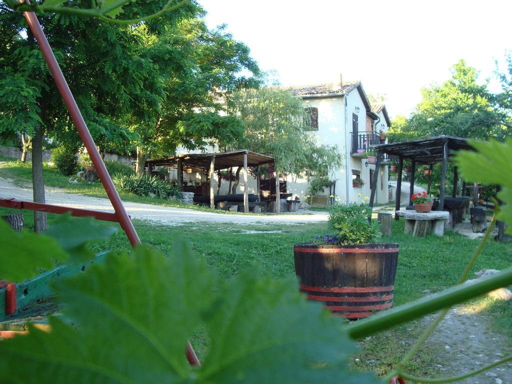 Agroturizam Toni Apartment Motovun Cameră foto