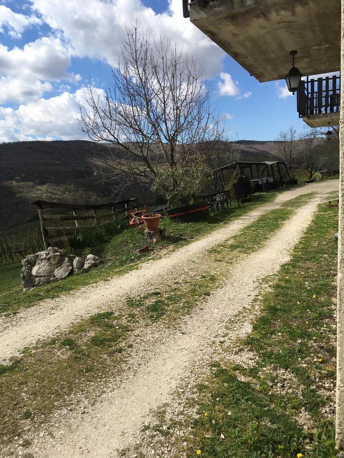 Agroturizam Toni Apartment Motovun Exterior foto